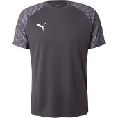 Puma Toiminnallinen paita 'TeamLIGA26' vaaleanharmaa / musta / valkoinen