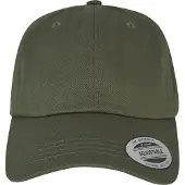 Flexfit Low Profile Cotton Twill Lippis