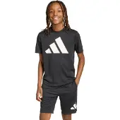 Adidas Train Essentials Big Logo Lyhythihainen T-paita
