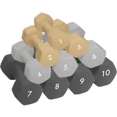 Abilica DumbBell