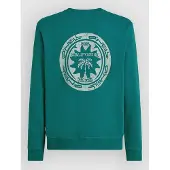 O'Neill Musthave Graphic Crew Neulepaita botanical heat Koko XS
