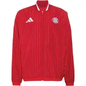 Adidas Fc Bayern Munich Stadium Verryttelytakki