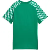 Puma Treenipaita teamLIGA26 - Urheilu Vihreä/Valkoinen Lapset, koko 128 cm