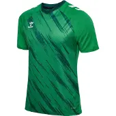 Hummel Pelipaita Match Triumph - Vihreä/Kasvitieteellinen vihreä, koko Medium
