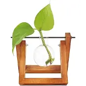 Winkee Vase - Hydro Vases Fleur - Brown - H8CM