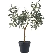 House Nordic Olive Artificial Plant, Green, H:61 Cm - Green - 36.5X22.5XH61CM