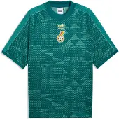 Puma Ghana Pelipaita King - Vihreä - , koko Large