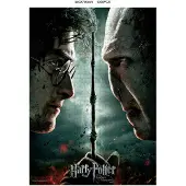 SD Toys Harry Potter Voldemort Vs Harry Palapeli 1000 Kappaletta