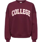 JDY Jdymesa Life L/S O-Nk Emb Sweat Jrs Noos - Burgundy - L