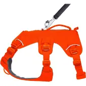 Ruffwear Web Master Koiran Valjaat
