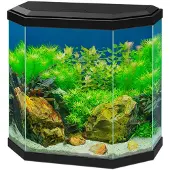Ciano - Aquarium Aqua Black 25 L - Akvaariotarvikkeet - Akvaariot ja akvaariokalusteet - Akvaariot