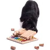 My Intelligent Dogs Piano – Älypeli koirille ja kissoille