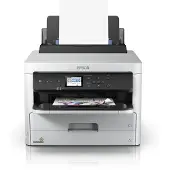 Epson T01C1 Mustepatruuna musta 10.000 sivua