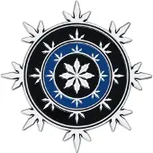 Fanatic Rajoitettu Painos 4 Medallionipakkaus Neverwinterin Heraldiikka Lohikäärmeet Ja Herttuat