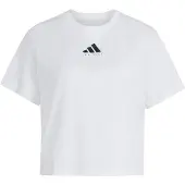Adidas Climacool Category Training Graphic Lyhythihainen T-paita