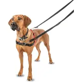 Company of animals Halti Harness Large Musta