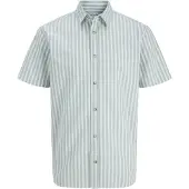 Jack & Jones Paita 'JJCHAD' minttu / musta / valkoinen