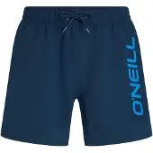 O'Neill Logo 16'' Surffishortsit english evening Koko XL