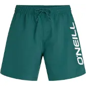 O'Neill Logo 16'' Surffishortsit botanical heat Koko M