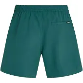 O'Neill Logo 16'' Surffishortsit vihreä, S