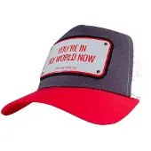 John Hatter & Co You Are In My World Now Lippis