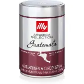 Illy | Guatemala - 250 g kahvipapuja