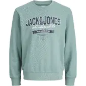 Jack & Jones Jjelogo Sweat Crew Neck 2Col Ss26 Sn Mni - Green - 98