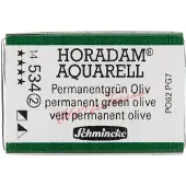 Taidepiste Horadam akv. 534 Permanent green olive - 1/1 nappi