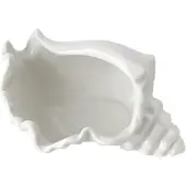 Exogio Shell-korulautanen, Ocean Theme keraaminen valkoinen tarjotin