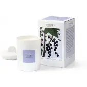 Pure Living Theorie Botanique Candle 50 hours - BUDLING OF CASSIS