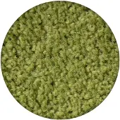 Rugsx Alfombra ETON círculo verde circulo 100 cm