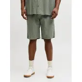 Jack & Jones Jaiden Tyson Plus Size Shortsit