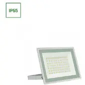 Spectrum Noctis valonheitin 50 W 4000 K 230 V 100° IP65 valkoinen