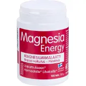 Raw Organic Hankintaukku Magnesia Energy 120tabl.