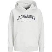 Jack & Jones Jjecaleb Varsity Sweat Hood Noos Jnr - Grey - 140