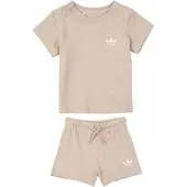 Adidas Originals Short Tee Aseta