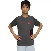 Puma Ac Milan 25/26 Tech Pocket Jr Lyhythihainen T-paita