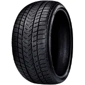 Gripmax Suregrip Pro Winter 315/30R22 107V 3PMSF XL RP