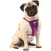 Kurgo Tru-Fit koiran valjas
