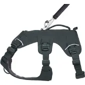 Ruffwear Web Master Koiran Valjaat