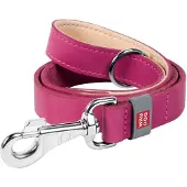 Waudog Natural Leather 25 Mm 122 Cm Koiran Hihna