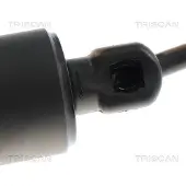 TRISCAN Kaasujousi, tavaratila 8710 24302