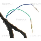 TRISCAN Kaasujousi, tavaratila 8710 28302