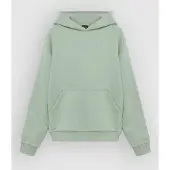 Oakley Apparel Soho Gen Huppari vihreä, XXL