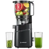 Amzchef SJ-036CBK Slow Juicer