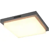 TRIO Lighting LED-ulkoseinävalaisin Bermejo, kulmikas, anturi, CCT, antrasiitti Bermejo, Musta, Metalli