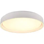 TRIO Felis LED kattovalaisin 40cm 2700-6500K 24W mattavalkoinen