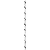 Edelrid Performance Static 10.5 Mm Köysi
