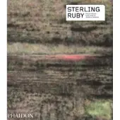 Book Sterling Ruby