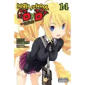 Little, Brown and Company High School DxD, Vol. 14 (light novel)